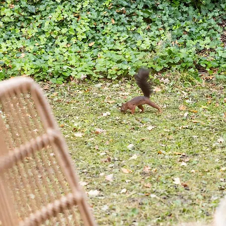 Lägenhet Heaven Zwischen Koeln Und Phantasialand *