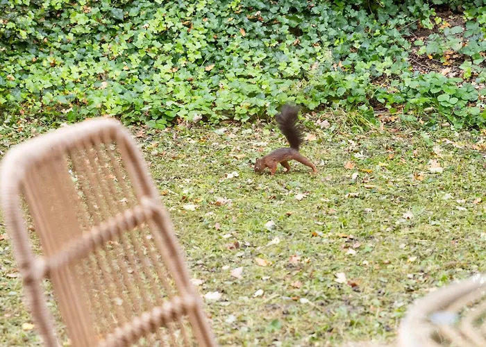 公寓 Heaven Zwischen Koeln Und Phantasialand *